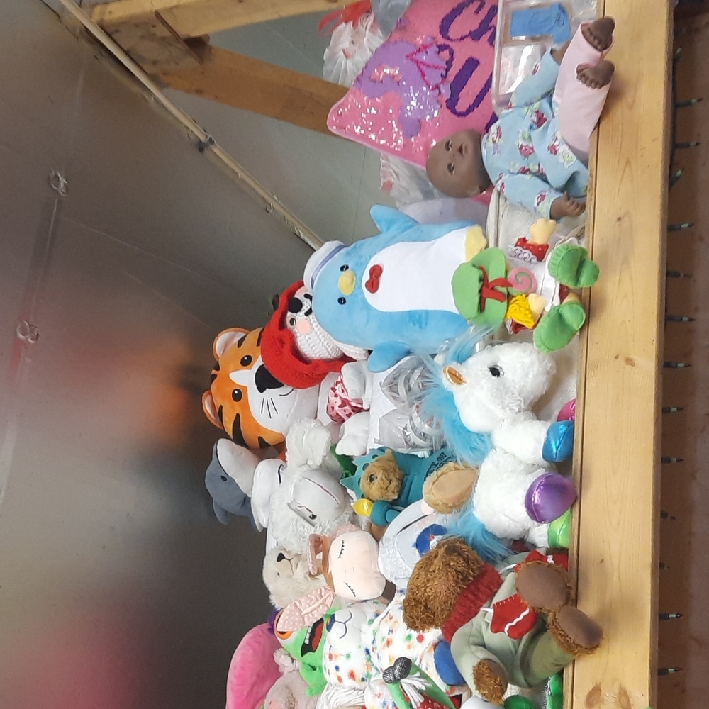 Meet our Pet Choir waiting to be adopted - Picture 4 of 4